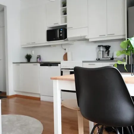 Viihtyisae Kaksio Keskustassa Ilmainen Pysaekoeinti Apartamento *